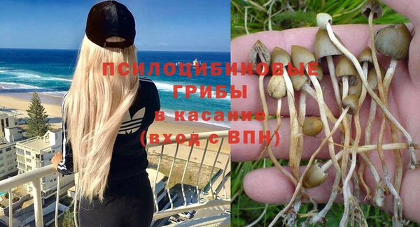 spice Гусь-Хрустальный