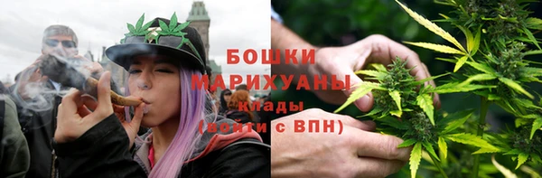 spice Гусь-Хрустальный