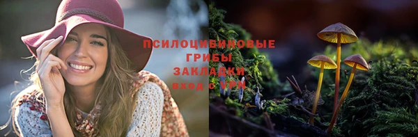 spice Гусь-Хрустальный