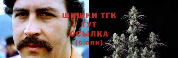 spice Гусь-Хрустальный