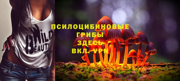 spice Гусь-Хрустальный