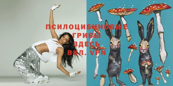 MDMA Гусев