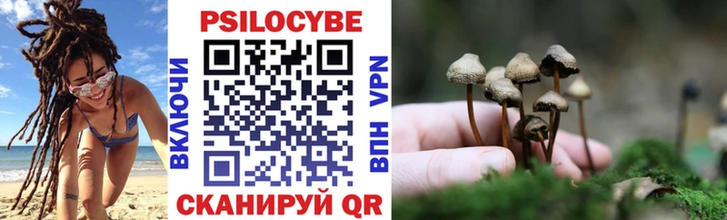 Купить  Тында  Галлюциногенные грибы MAGIC MUSHROOMS 